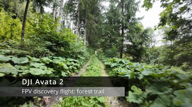 FPV discovery: flight forest trail - DJI Avata 2 #dji #fpv  #avata2
