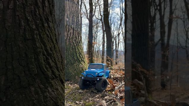 around the tree - ECX Barrage #ECX #barrage #rccar