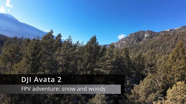 FPV adventure, snow and woods - DJI Avata 2 #dji #fpv #djiavata2