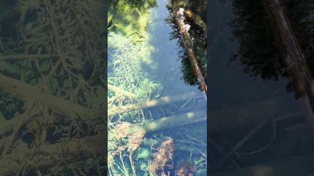 a mystical lake deep in the forest05 - DJI Mini 4 Pro #djicinematic #djimini4pro #hiddenlake