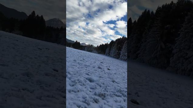 snow covered forest and haystacks - DJI Avata 2
