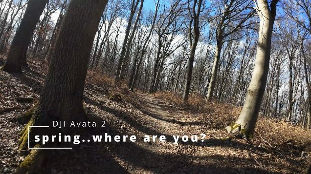 spring..where are you? - DJI Avata 2