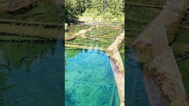 a mystical lake deep in the forest02 - DJI Mini 4 Pro #djicinematic #djimini4pro #hiddenlake