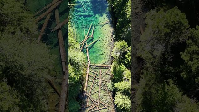 a mystical lake deep in the forest03 - DJI Mini 4 Pro #djicinematic #djimini4pro #hiddenlake