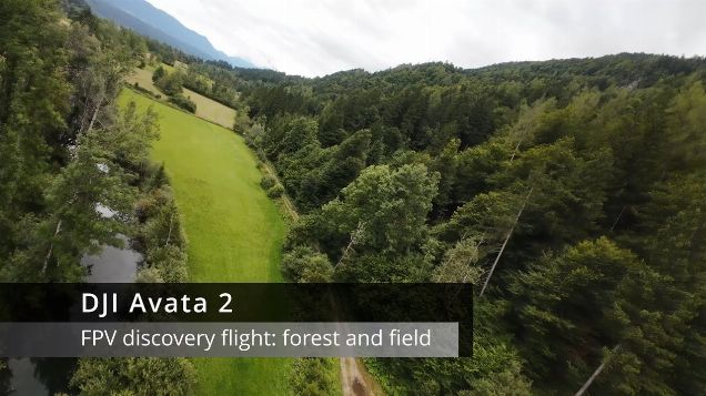 FPV discovery flight: forest and field - DJI Avata 2 #dji #djiavata2 #fpv