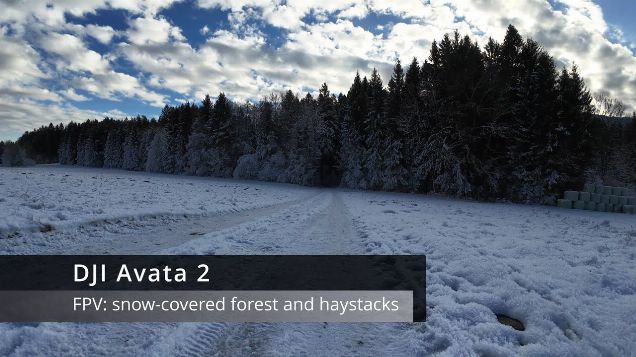 FPV: snow covered forest and haystacks - DJI Avata 2 #dji #fpv #djiavata2