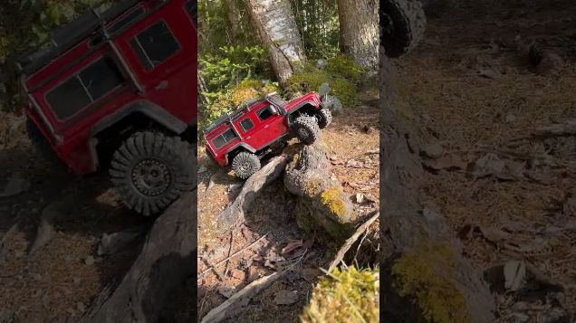 mixed terrain root trail - Traxxas TRX 4 Defender #traxxas #trx4defender #rcoffoad